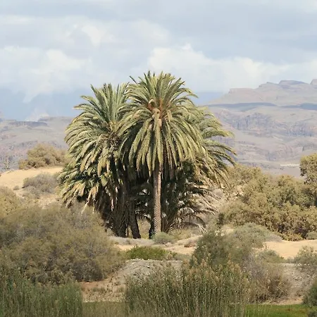 Apartamento El Capricho Maspalomas (Gran Canaria)