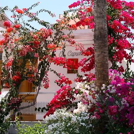 El Capricho 아파트 *